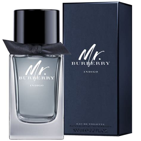 burberry mr burberry indigo edt 100ml|mr burberry eau de toilette.